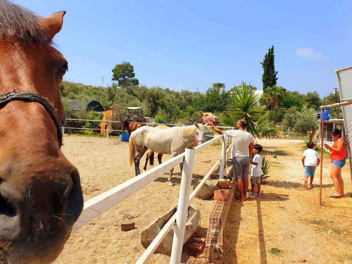 Patara Caretta Hotel Buitenkant foto