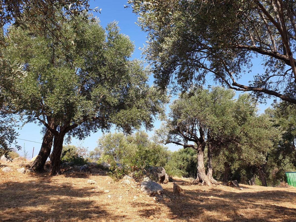 Patara Caretta Hotel Buitenkant foto