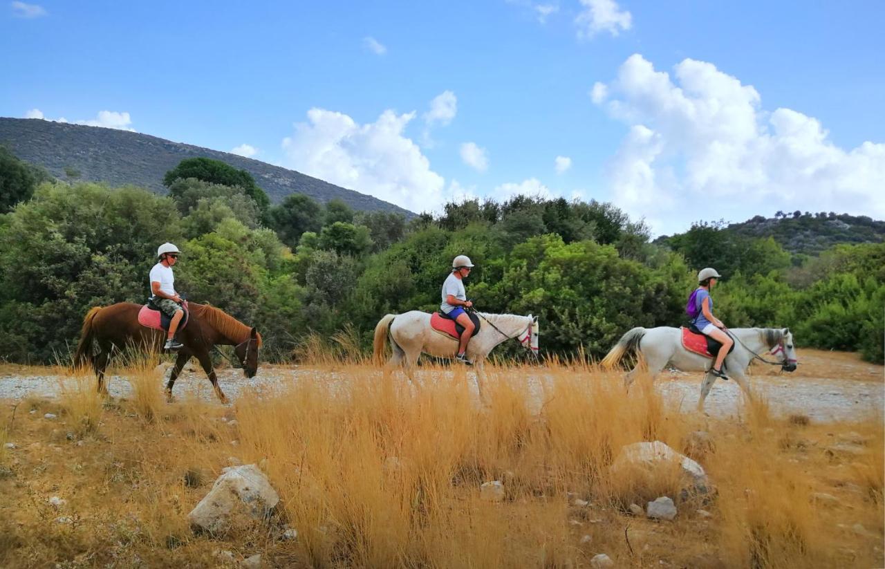 Patara Caretta Hotel Buitenkant foto