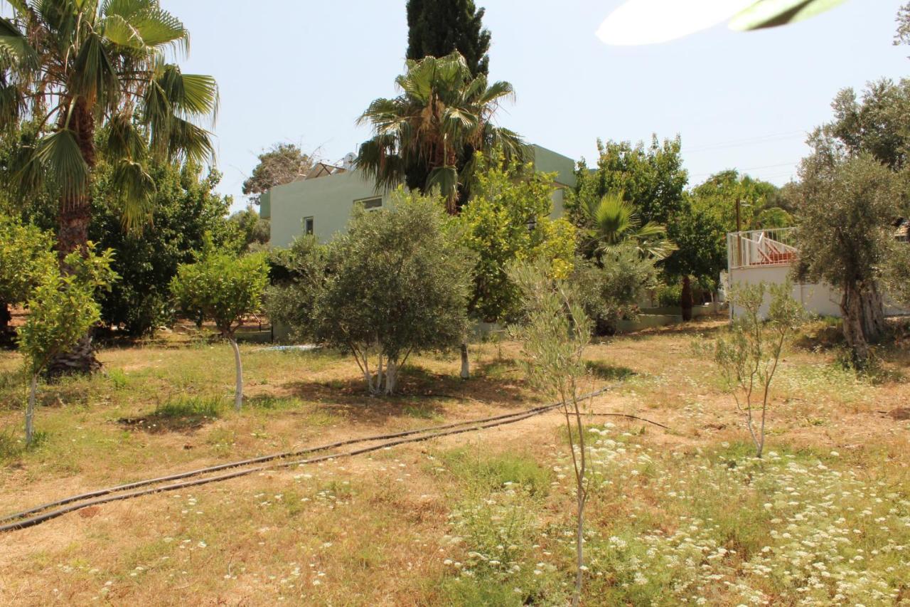 Patara Caretta Hotel Buitenkant foto