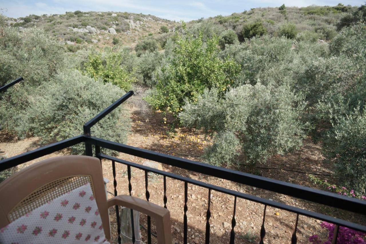 Patara Caretta Hotel Buitenkant foto